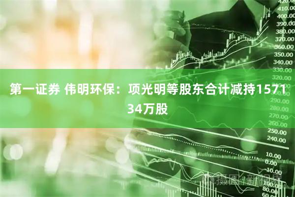 第一证券 伟明环保：项光明等股东合计减持157134万股
