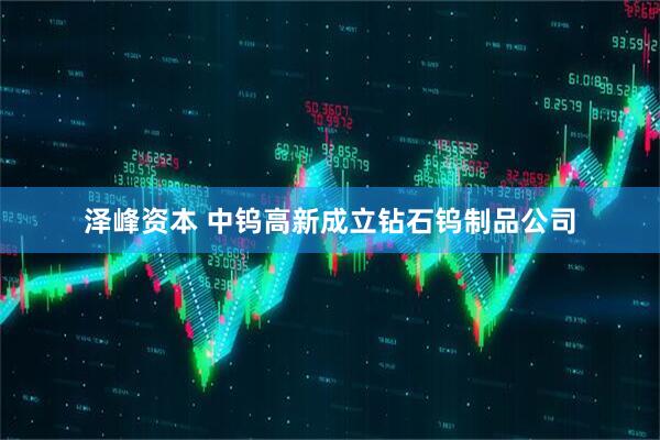 泽峰资本 中钨高新成立钻石钨制品公司