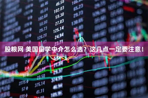 股粮网 美国留学中介怎么选？这几点一定要注意！